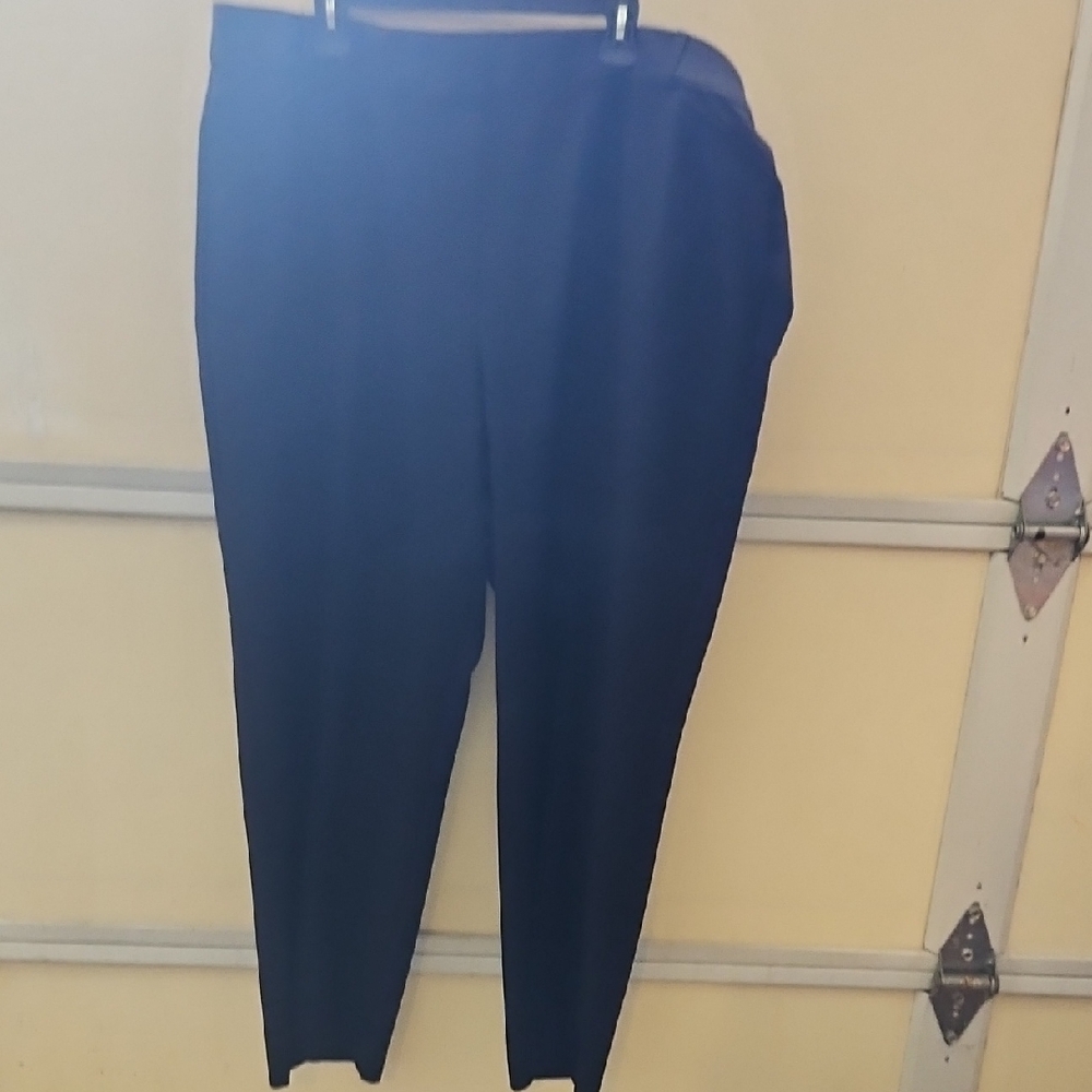 Cato Women's Straight Leg Dress Pants in Black